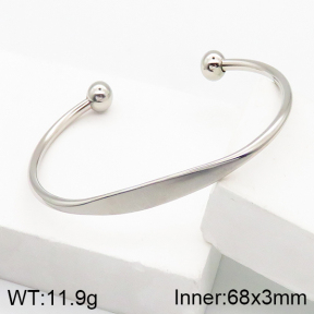 Stainless Steel Bangle  5BA201070aajl-749