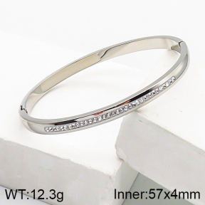 Stainless Steel Bangle  5BA401465vbnb-749
