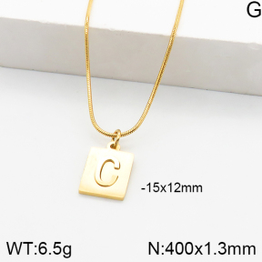 Stainless Steel Necklace  5N2000866ablb-749