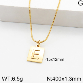 Stainless Steel Necklace  5N2000868ablb-749