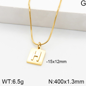 Stainless Steel Necklace  5N2000871ablb-749