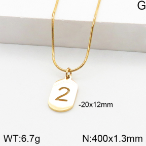 Stainless Steel Necklace  5N2000890ablb-749