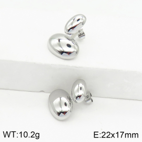 Stainless Steel Earrings  2E2002457vhkb-669
