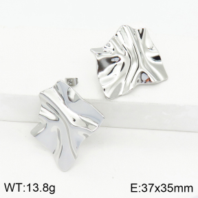 Stainless Steel Earrings  2E2002460bhil-669