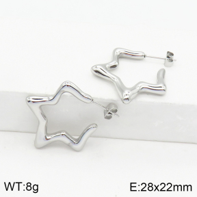 Stainless Steel Earrings  2E2002461bhia-669