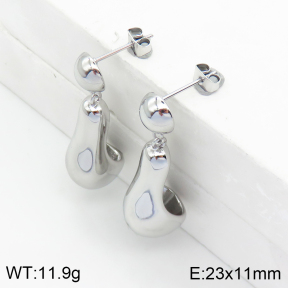 Stainless Steel Earrings  2E2002465vhkb-669