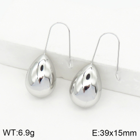 Stainless Steel Earrings  2E2002472ahlv-669
