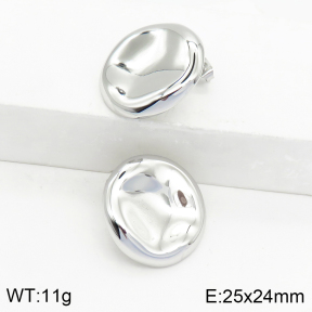 Stainless Steel Earrings  2E2002477bhil-669