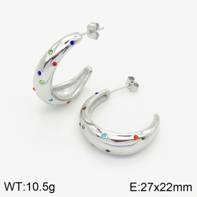 Stainless Steel Earrings  2E4002602vhkb-669