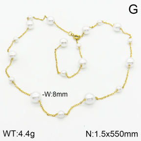 Stainless Steel Necklace  2N3001310vbnb-739