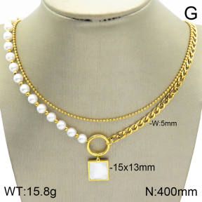 Stainless Steel Necklace  2N3001312vhha-739