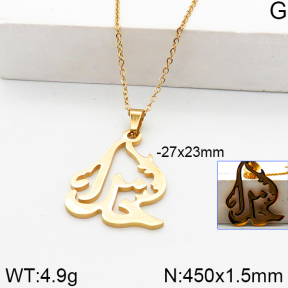 Stainless Steel Necklace  5N2000898aakl-698