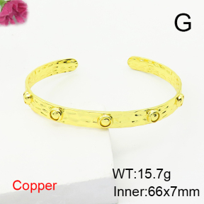Fashion Copper Bangle  F6N407229bhia-G030