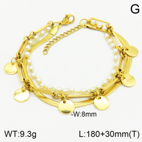 Stainless Steel Bracelet  2B3001863bhia-354