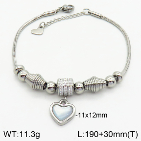 Stainless Steel Bracelet  2B4002669ahjb-743
