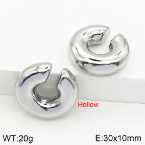 Stainless Steel Earrings  2E2002493bhbl-649