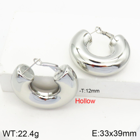 Stainless Steel Earrings  2E2002494bhbl-649