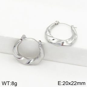 Stainless Steel Earrings  2E2002502abol-656