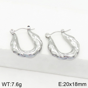 Stainless Steel Earrings  2E2002503abol-656