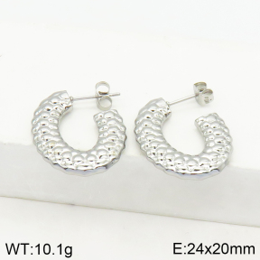 Stainless Steel Earrings  2E2002506abol-656