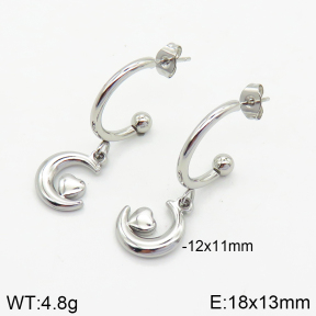 Stainless Steel Earrings  2E2002510abol-656