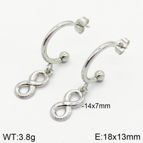 Stainless Steel Earrings  2E2002512abol-656