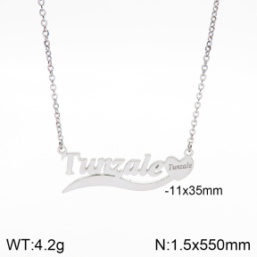 Stainless Steel Necklace  2N2003398vbnb-722