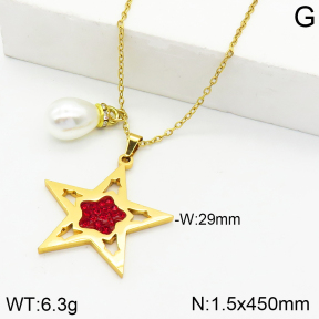 Stainless Steel Necklace  2N4002277vbmb-649