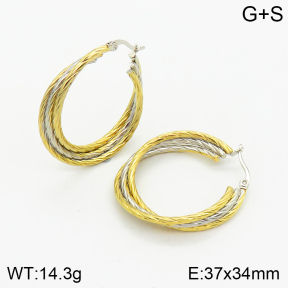 Stainless Steel Earrings  2E2002526vbmb-434
