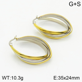 Stainless Steel Earrings  2E2002529vbmb-434