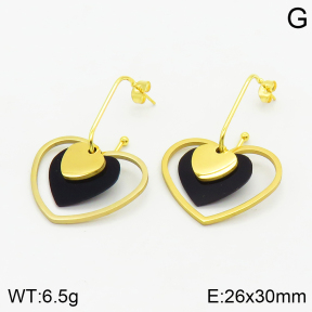 Stainless Steel Earrings  2E4002619ablb-698