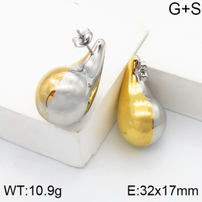 Stainless Steel Earrings  5E2003112ahlv-649