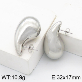 Stainless Steel Earrings  5E2003113bhva-649