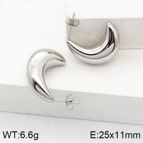 Stainless Steel Earrings  5E2003115bbov-649