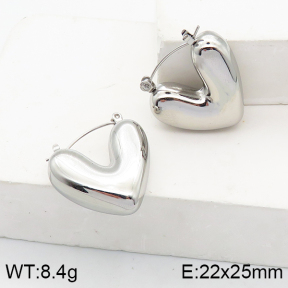 Stainless Steel Earrings  5E2003117vhhl-649