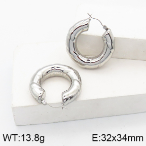 Stainless Steel Earrings  5E2003123bhbl-649