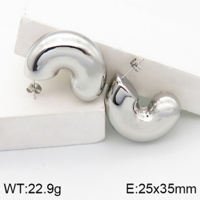 Stainless Steel Earrings  5E2003125bhbl-649