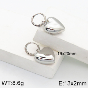 Stainless Steel Earrings  5E2003129bhva-649