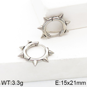 Stainless Steel Earrings  5E2003084baka-738