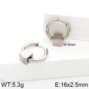 Stainless Steel Earrings  5E2003106baka-738
