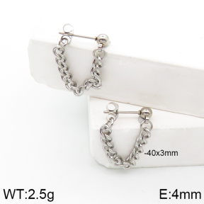 Stainless Steel Earrings  5E2003109vaia-738