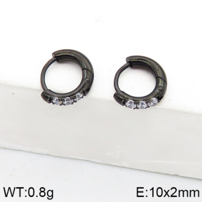 Stainless Steel Earrings  5E4002565vhha-738
