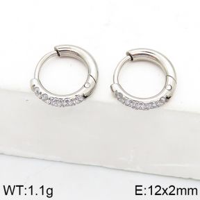 Stainless Steel Earrings  5E4002568vhha-738