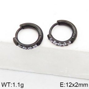 Stainless Steel Earrings  5E4002569bhia-738