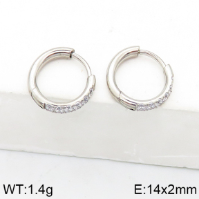 Stainless Steel Earrings  5E4002572bhia-738