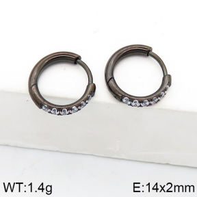 Stainless Steel Earrings  5E4002573ahjb-738