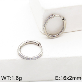 Stainless Steel Earrings  5E4002575ahjb-738