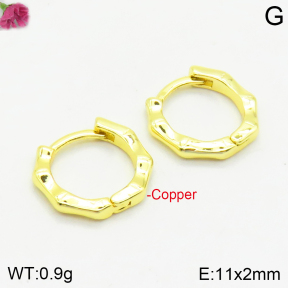 Fashion Copper Earrings  F2E200306aakl-J147