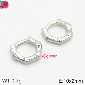 Fashion Copper Earrings  F2E200308aakl-J147