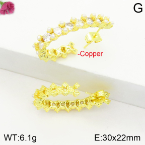 Fashion Copper Earrings  F2E400986vhha-J147